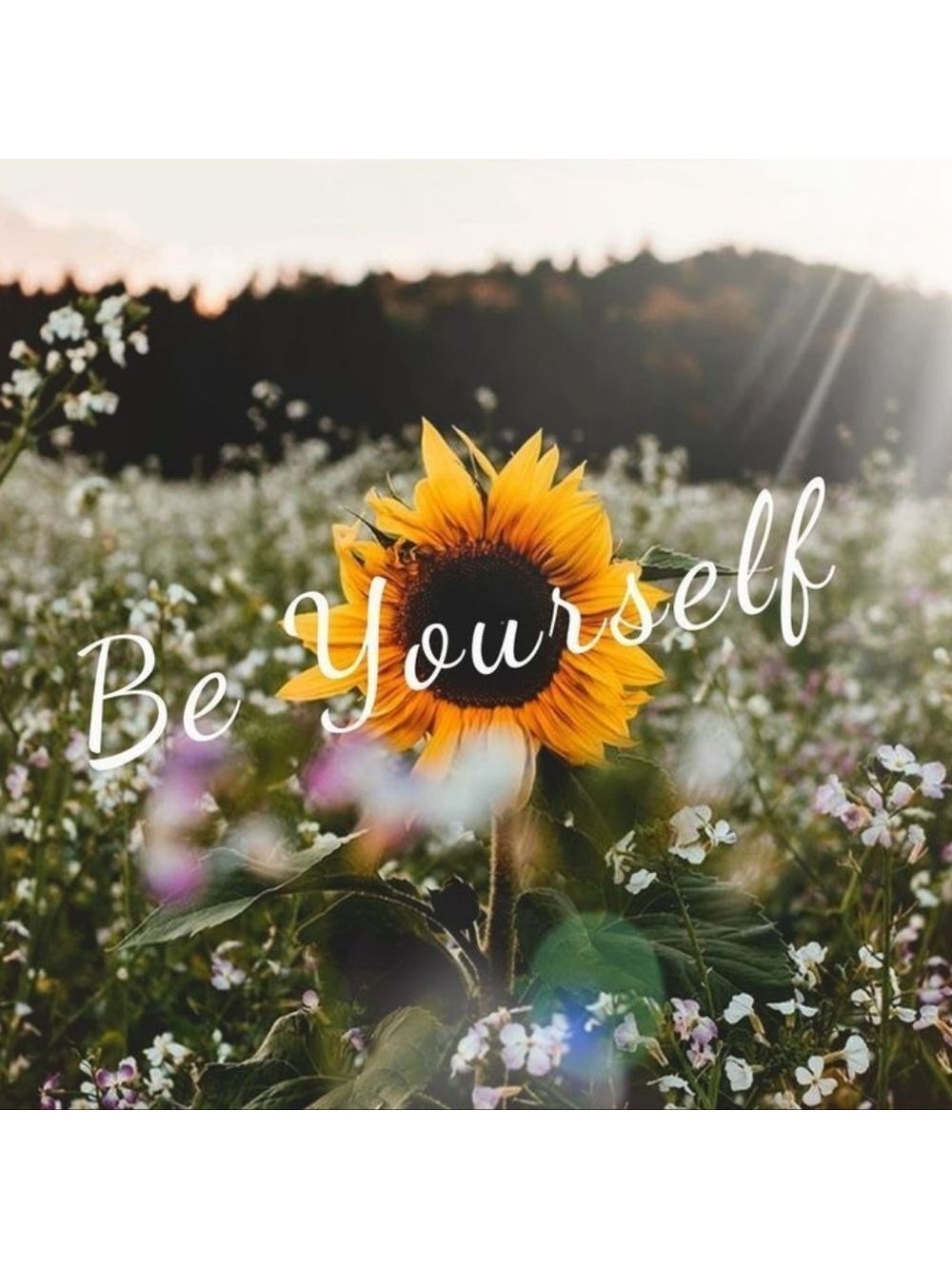SIMPLE BEAUTY  Be You Get what you Want Don't Listen to the World